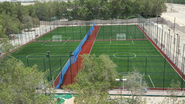 BELSPORTS-ARTIFICIAL GRASS